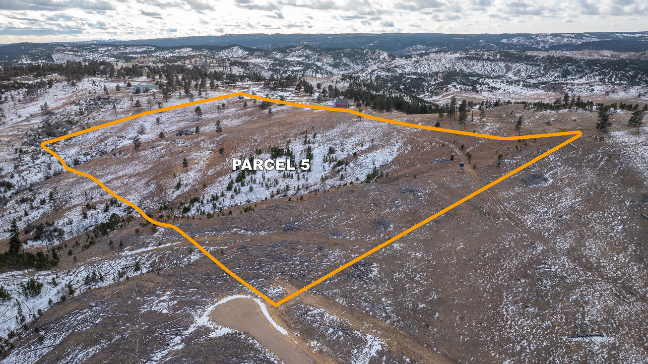 TBD lot 5 Elk Creek Rd. Piedmont, SD 57769, Piedmont, SD 57769