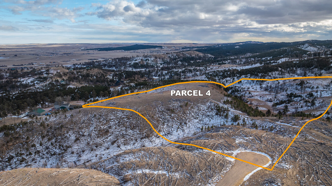 TBD Lots 4 and 5 Elk Creek Rd. Piedmont, SD 57769, Piedmont, SD 57769