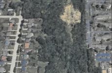 15327536