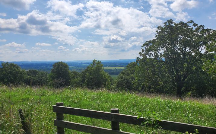 Pictures of Land property located at Co Rd 207, Eureka Springs, AR 72632 for sales - image #1