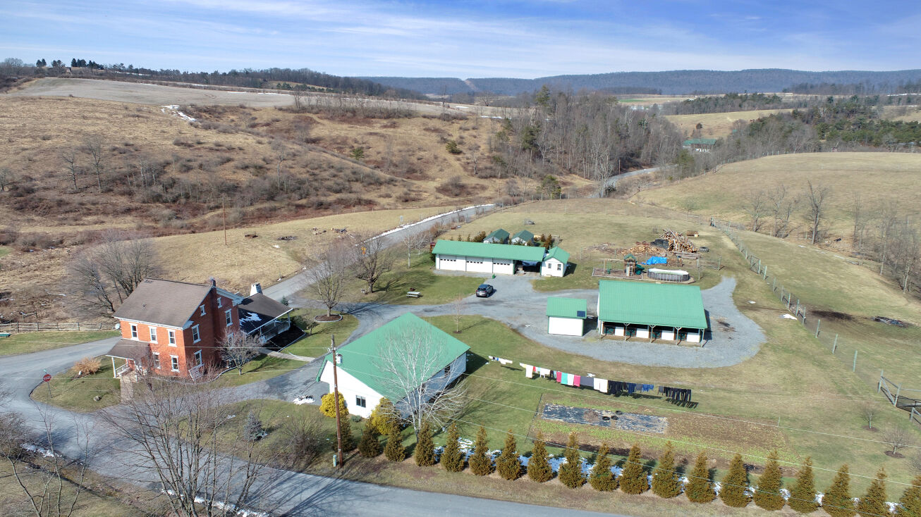 113 Hoch Rd, Dornsife, PA 17823