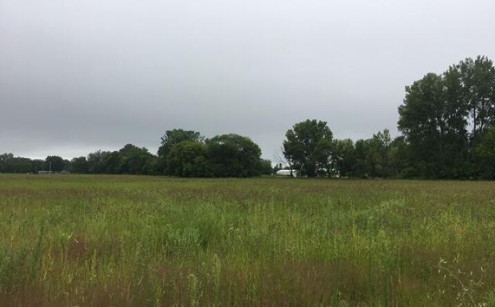 Pictures of Land property located at 0 20th Ave NE/Co 57, Benson, MN 56215 for sales - image #1