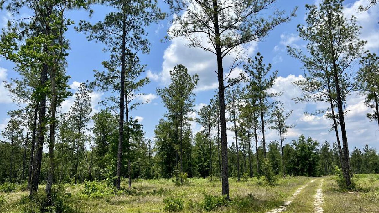 0 County Road 64, Robertsdale, AL 36567