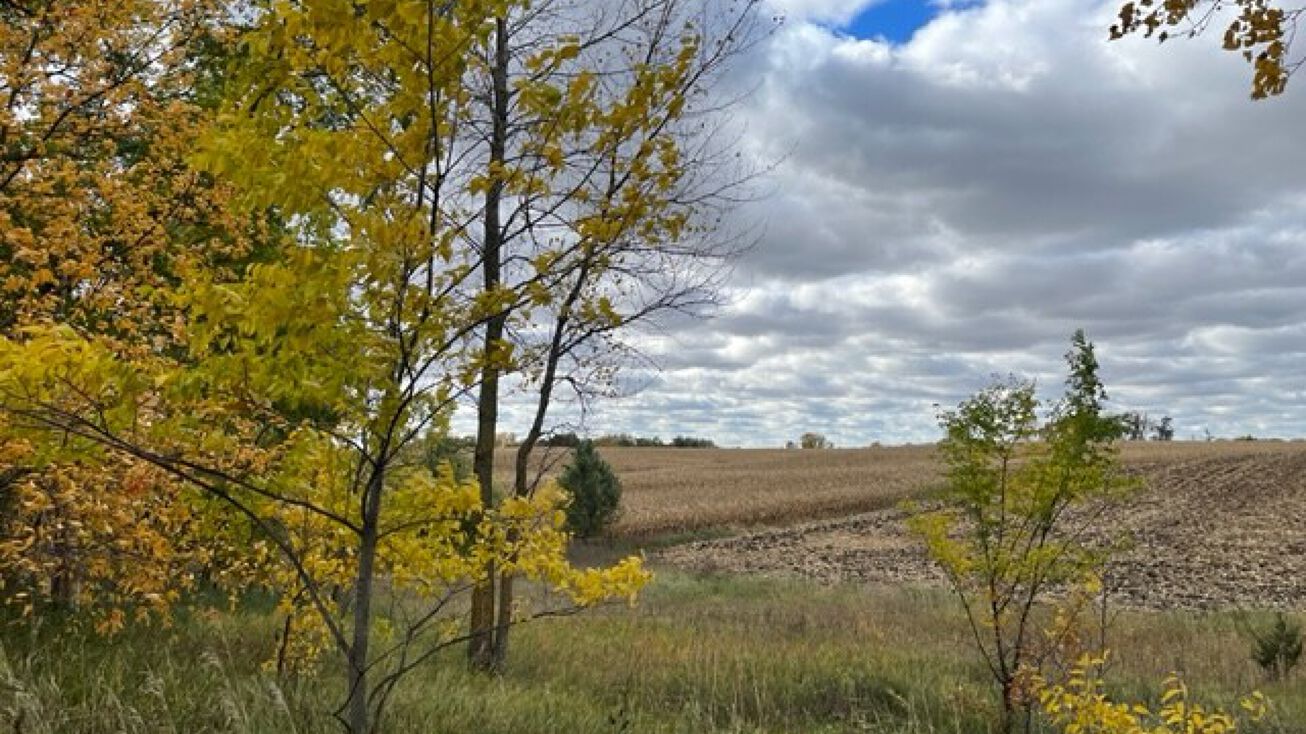 820 Johnson Ave, Cokato, MN 55321