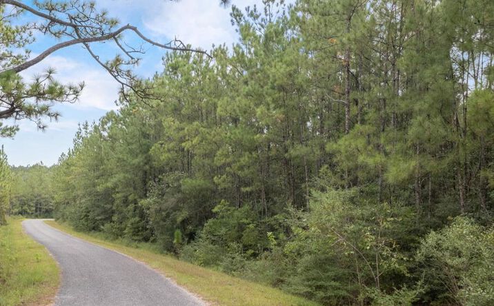 Pictures of Land property located at 13.47+/-AC Edna Beach Road, Poplarville, MS 39470 for sales - image #1