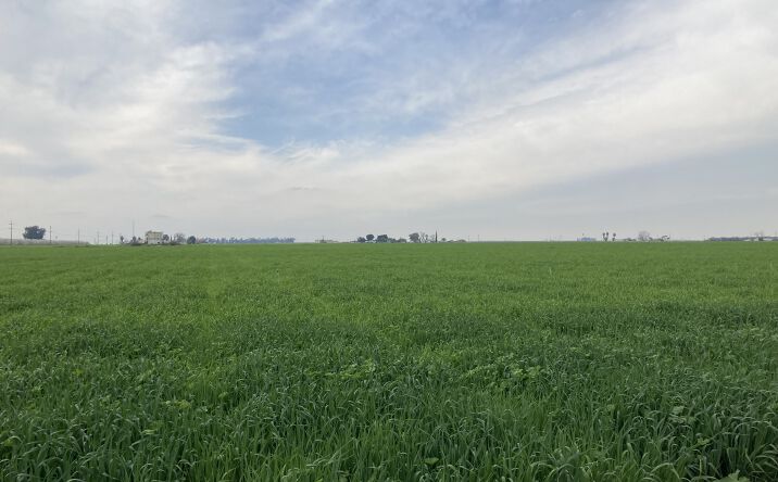 Pictures of Land property located at S Comanche Dr, Arvin, CA 93203 for sales - image #1