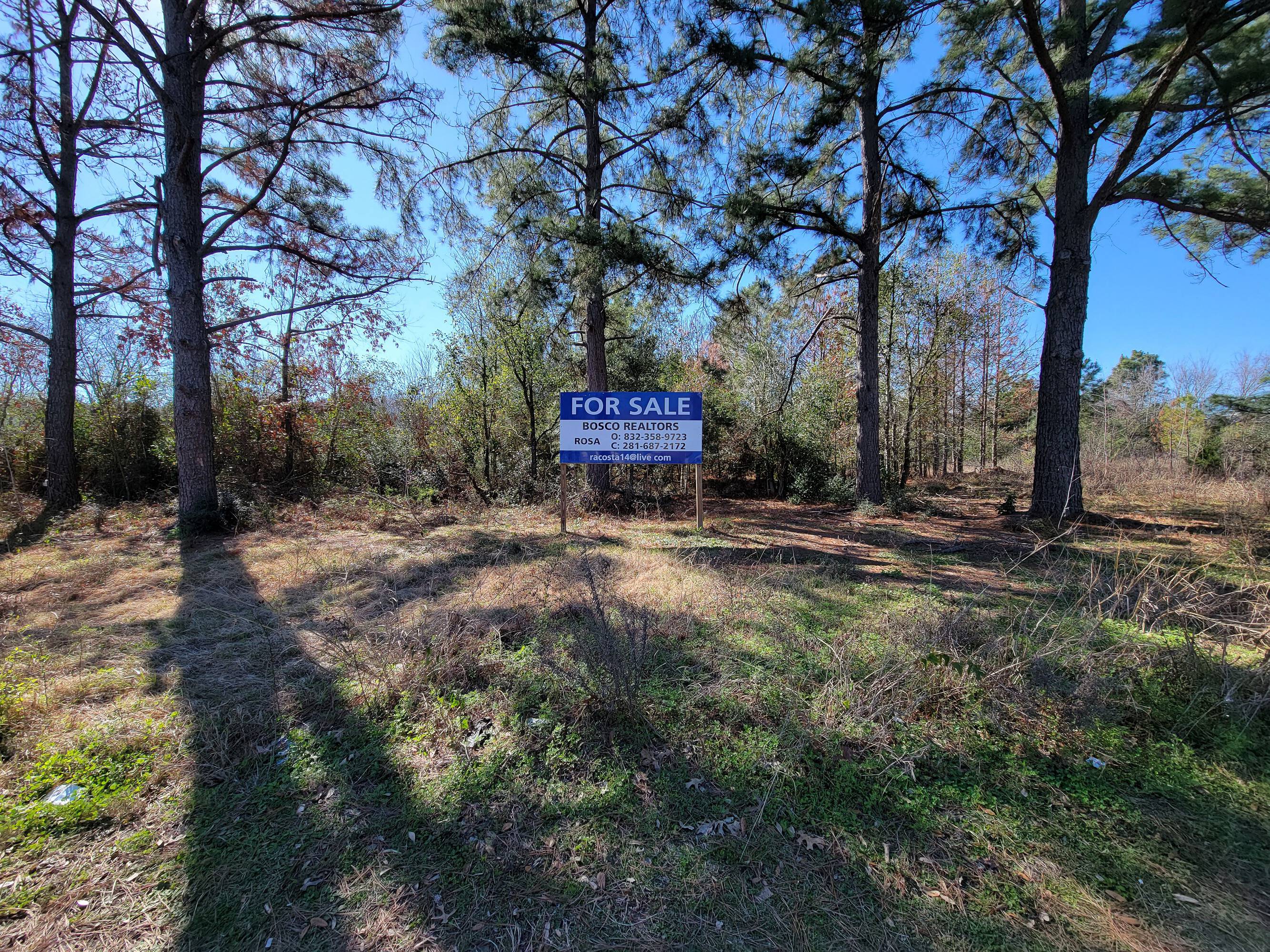 Barker Cypress Rd