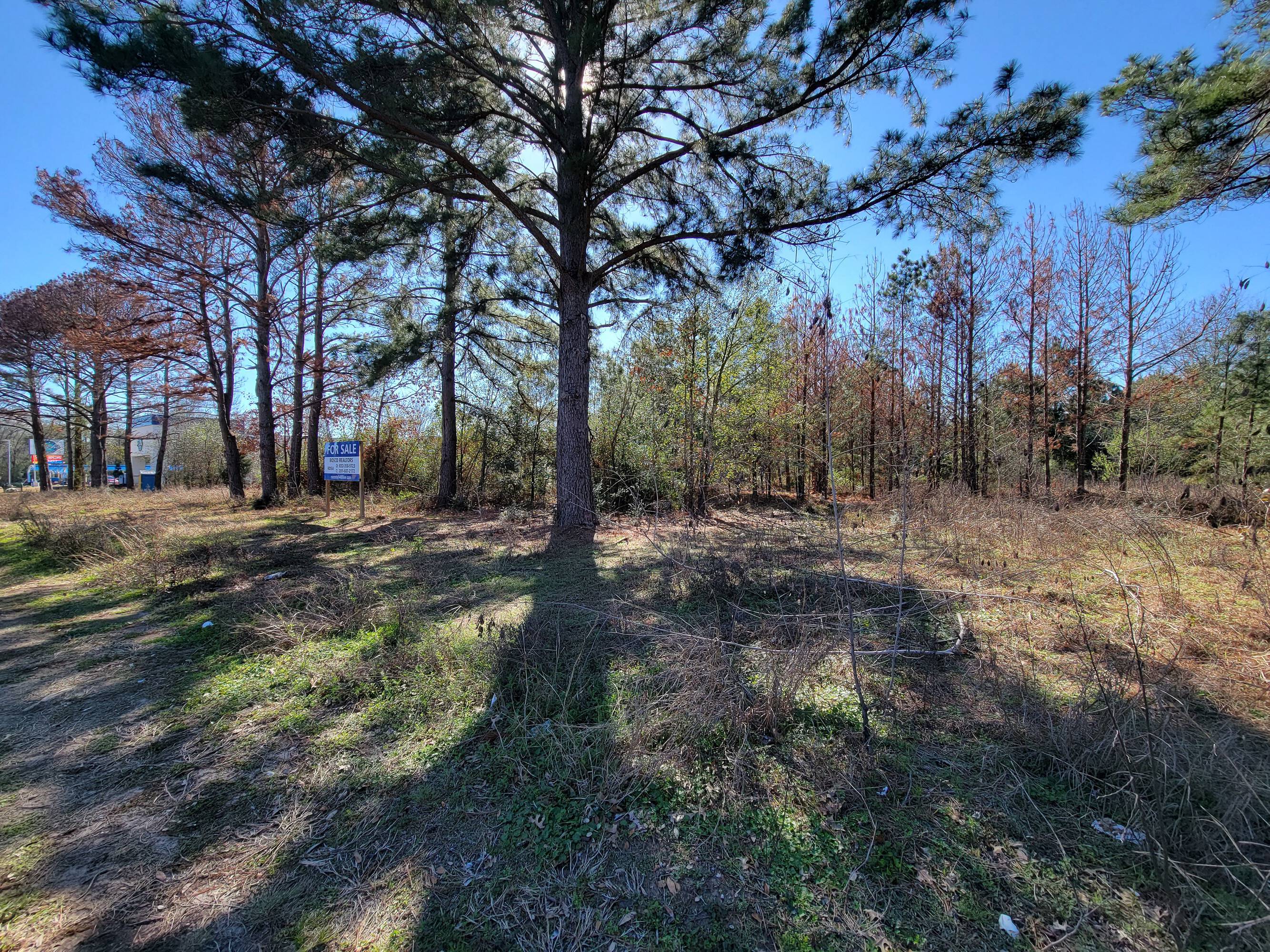 Barker Cypress Rd