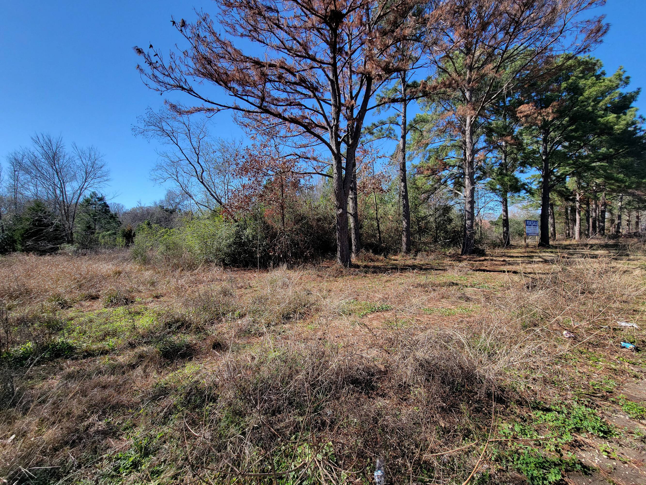 Barker Cypress Rd