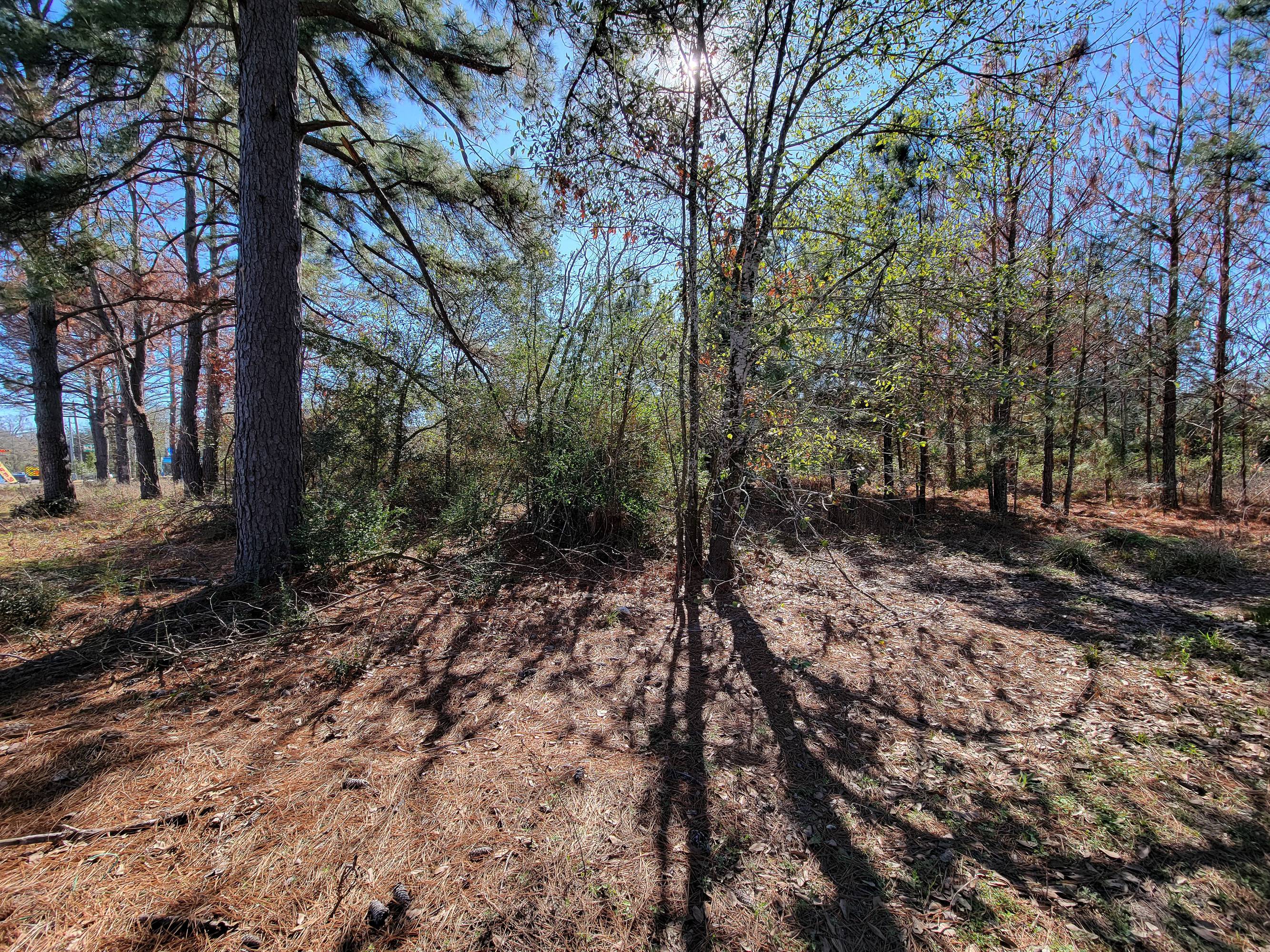 Barker Cypress Rd