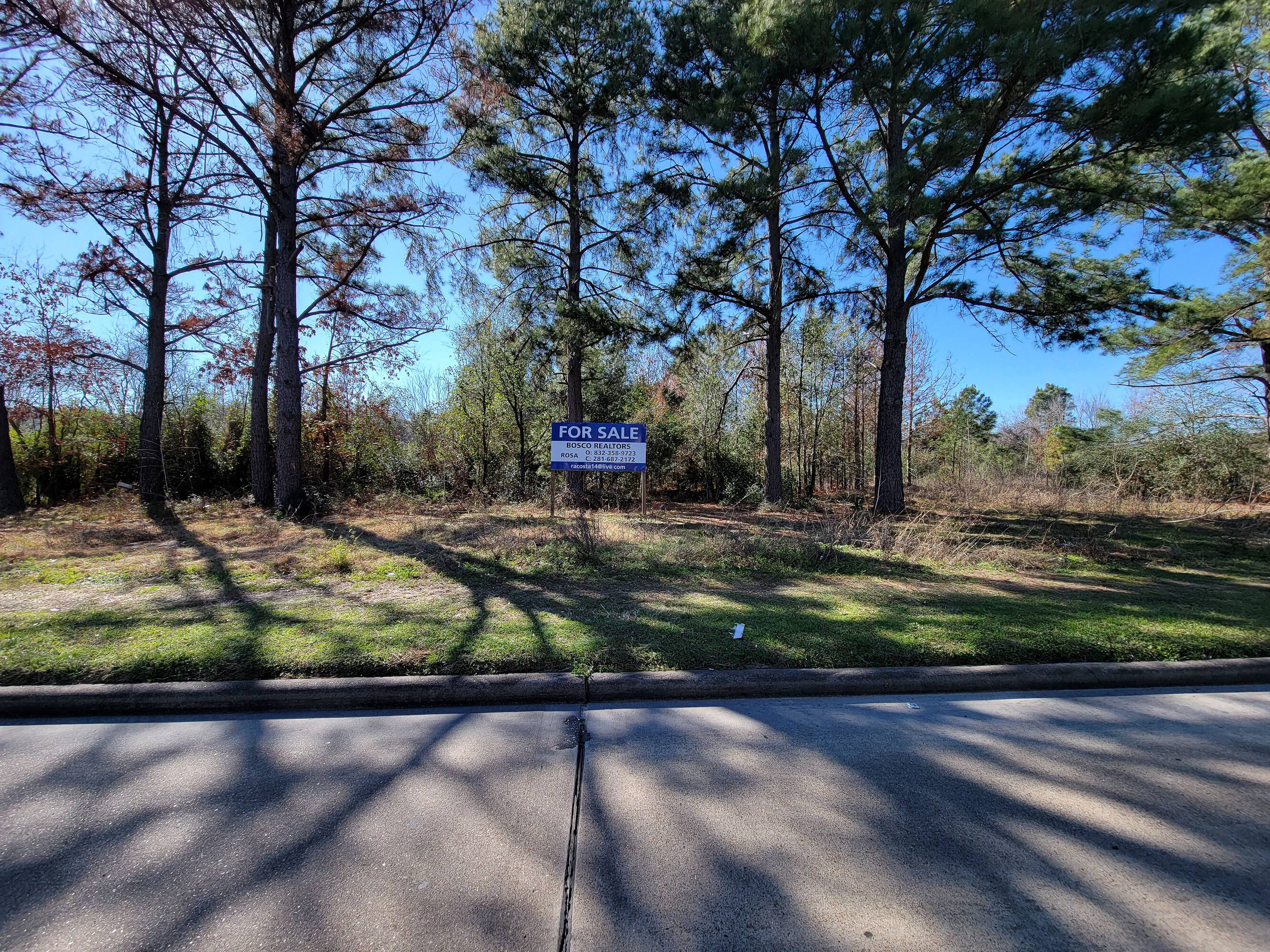Barker Cypress Rd