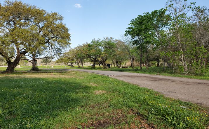 Pictures of Land property located at 108 Country Oaks St, Brazoria, TX 77422 for sales - image #1