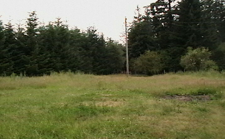 Pictures of Land property located at 3215 93rd Ave SW, Olympia, WA 98512 for sales - image #1