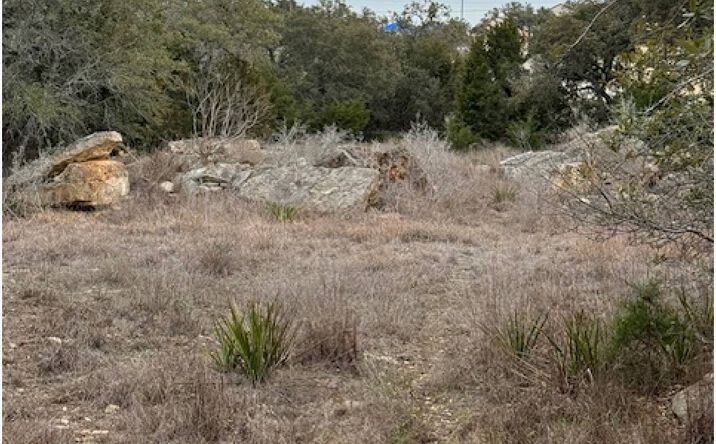Pictures of Land property located at Star Grass, Spring Branch, TX 78070 for sales - image #1
