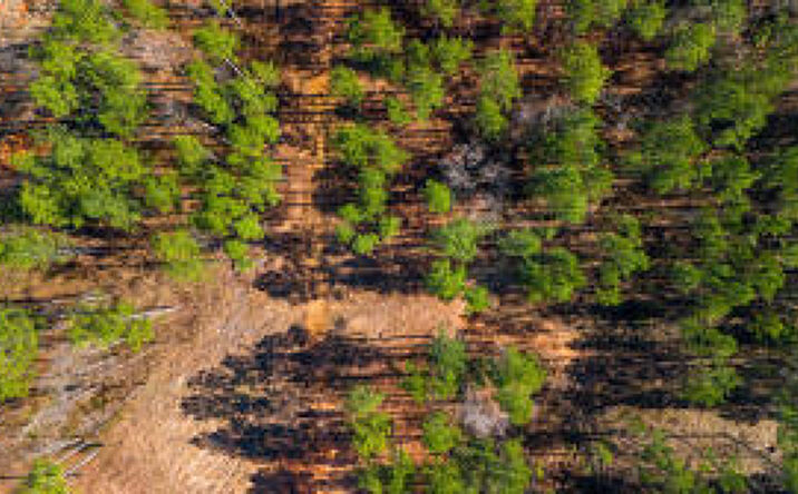 Pictures of Land property located at 00 Flat Rock Road, Iva, SC 29655 for sales - image #1