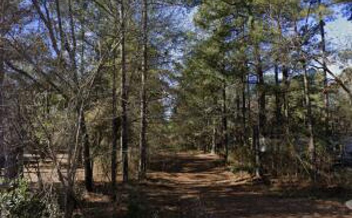 Pictures of Land property located at 0 Old Olar Road, Denmark, SC 29042 for sales - image #1