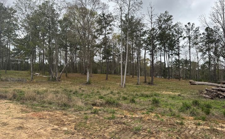 NHN Rock Ranch Road, Carriere, MS 39426 | Crexi.com
