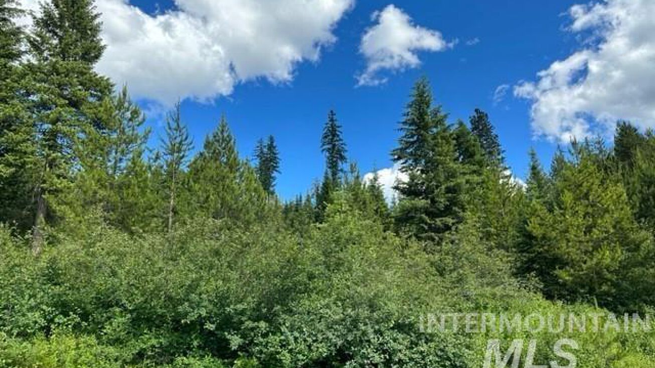 Sanderson Ln, Bovill, ID 83806