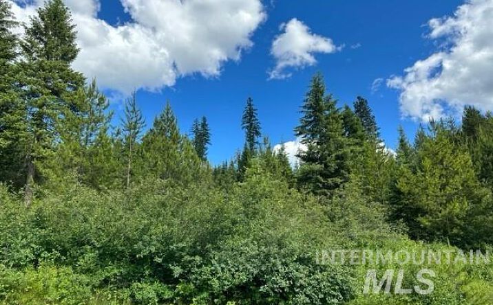 Pictures of Land property located at Sanderson Ln, Bovill, ID 83806 for sales - image #1