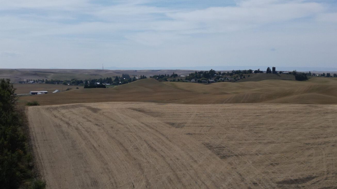 Old Hwy 95 Rd, Genesee, ID 83832