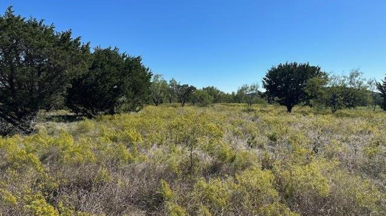 Lot 1049 Frog Branch Ct, Graford, TX 76449