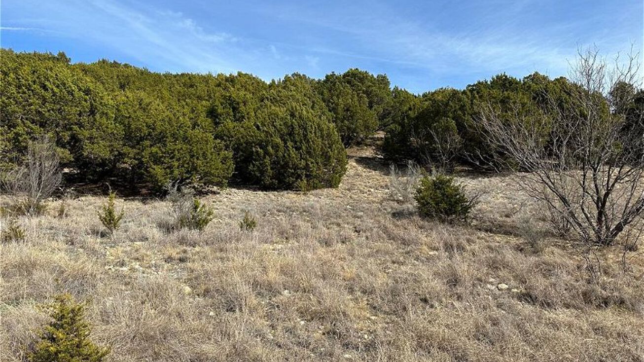 Lot 154 Canyon Wren, Graford, TX 76449