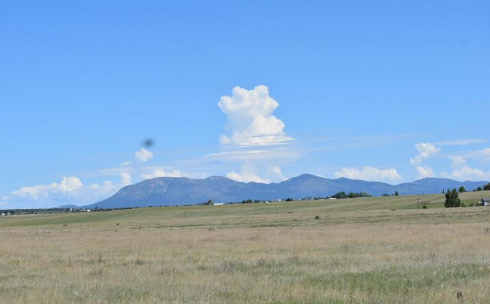 Pictures of Land property located at 00 Sunrise Drive, Moriarty, NM 87035 for sales - image #1