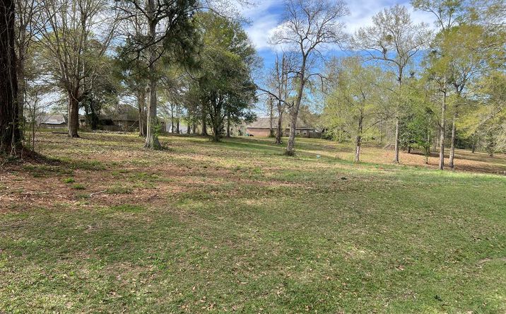 Pictures of Land property located at 00 Lakeshore Dr., Carriere, MS 39426 for sales - image #1