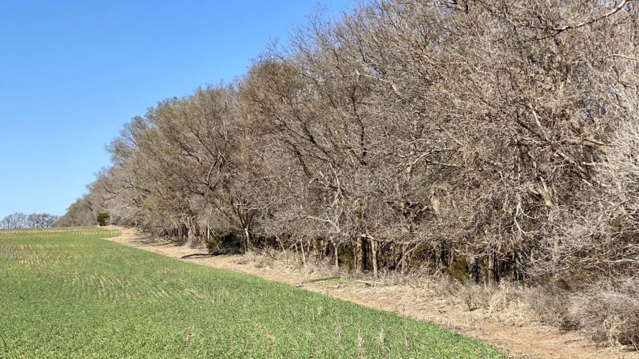 W Pretty Prairie Rd, Turon, KS 67583
