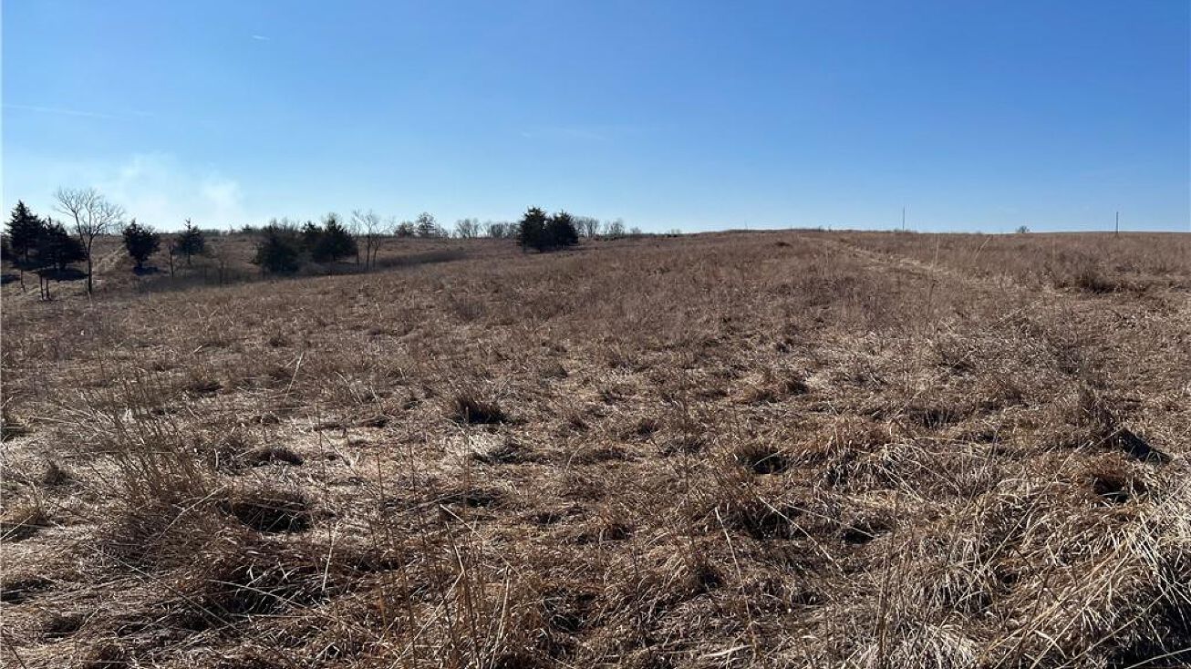 295 Avenue, Ridgeway, MO 64481