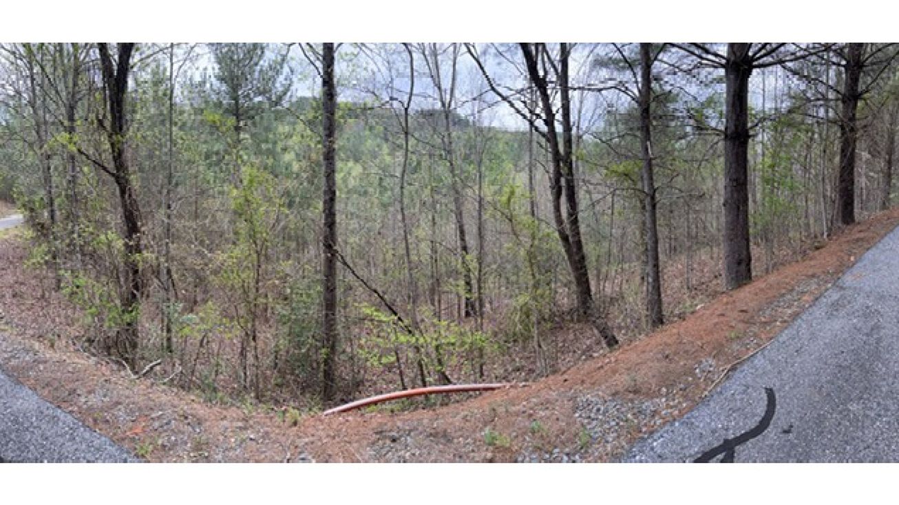 LT 54 Choctaw Ridge Trail, Murphy, NC 28906 | Crexi.com