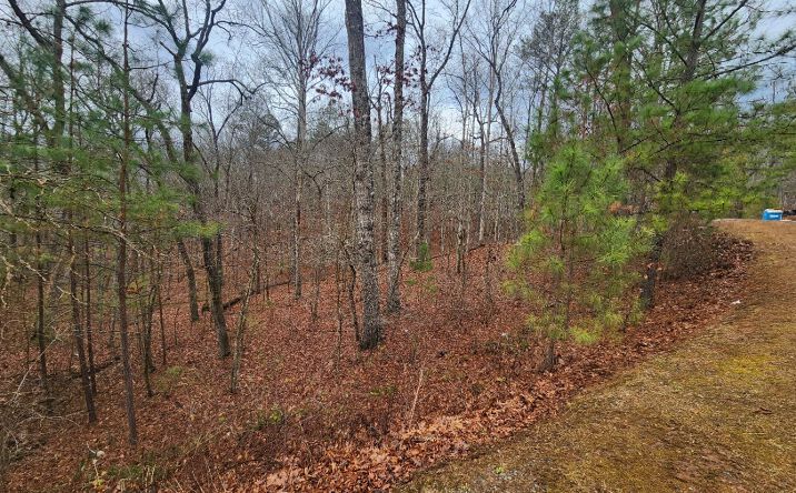 Pictures of Land property located at LOT 9 Harris Creek Drive, Ellijay, GA 30540 for sales - image #1