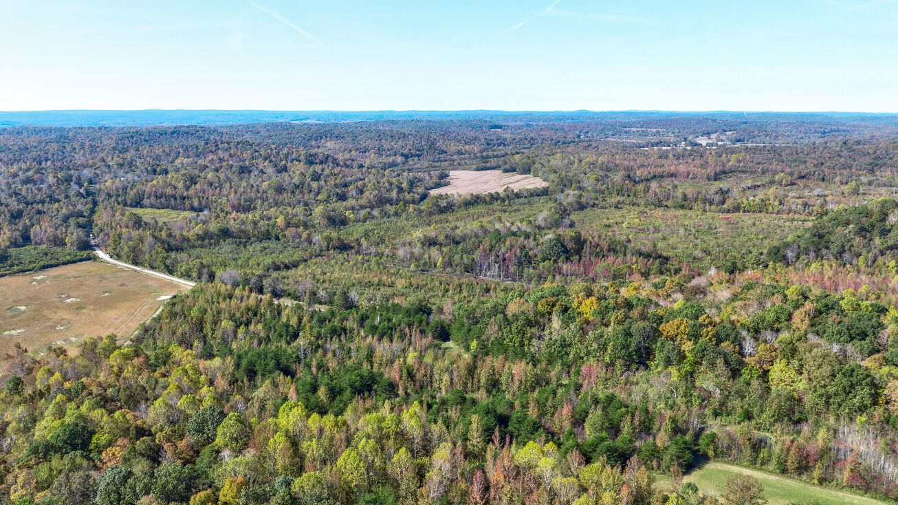 Cal Hamby Rd, St Charles, KY 42453