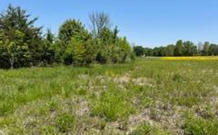 Pictures of Land property located at 0 Gorsuch Road, Galena, OH 43021 for sales - image #1