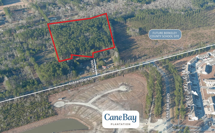 Pictures of Land property located at 615 Doitler Ln, Moncks Corner, SC 29461 for sales - image #1