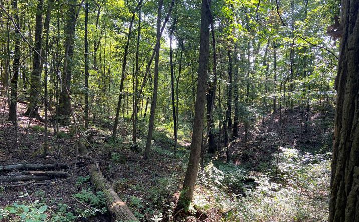 Pictures of Land property located at Willow Ave, Knox, PA 16232 for sales - image #1