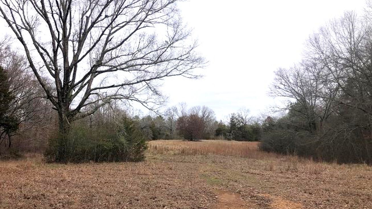 50 Acres in Holmes County, Goodman, MS 39079