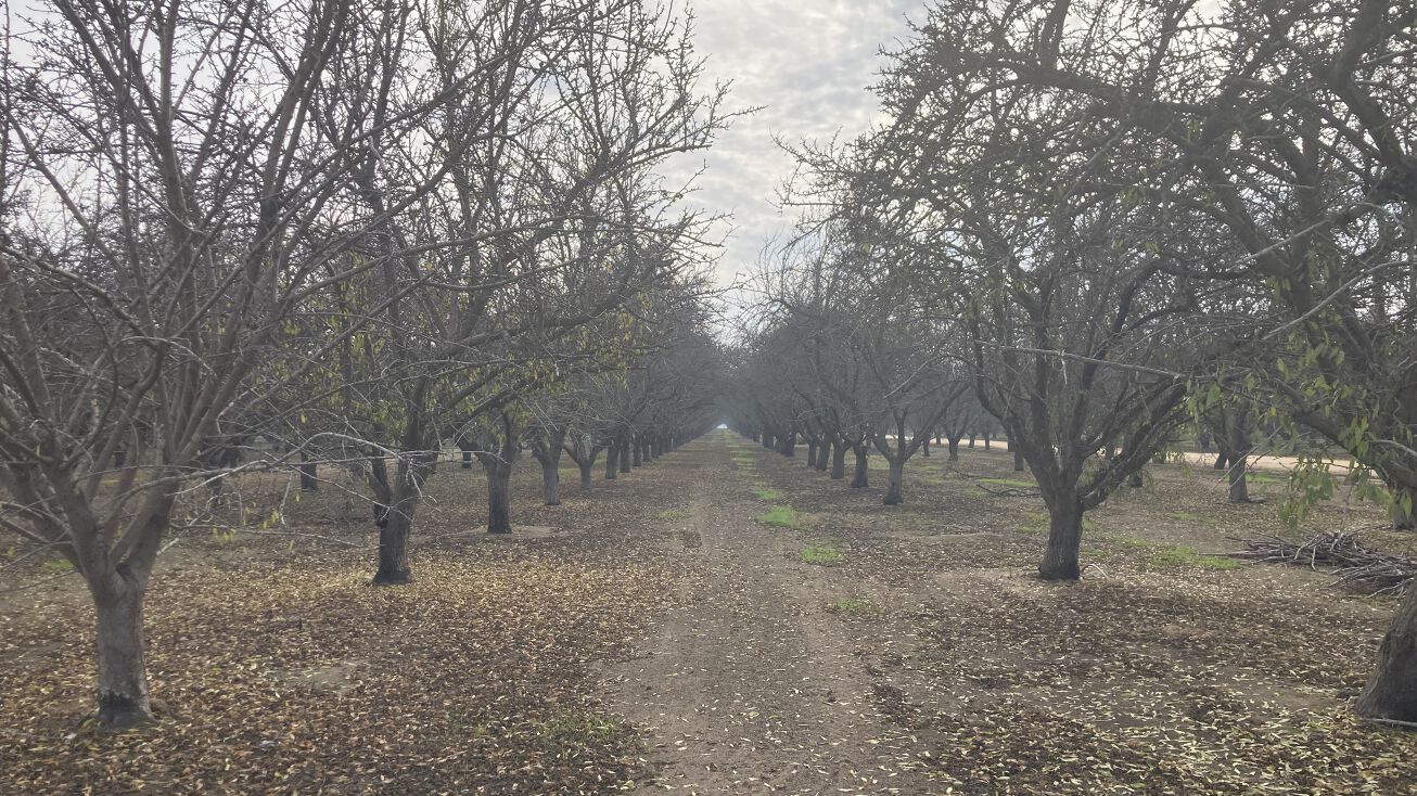 13767 Cherry Ave, Shafter, CA 93263