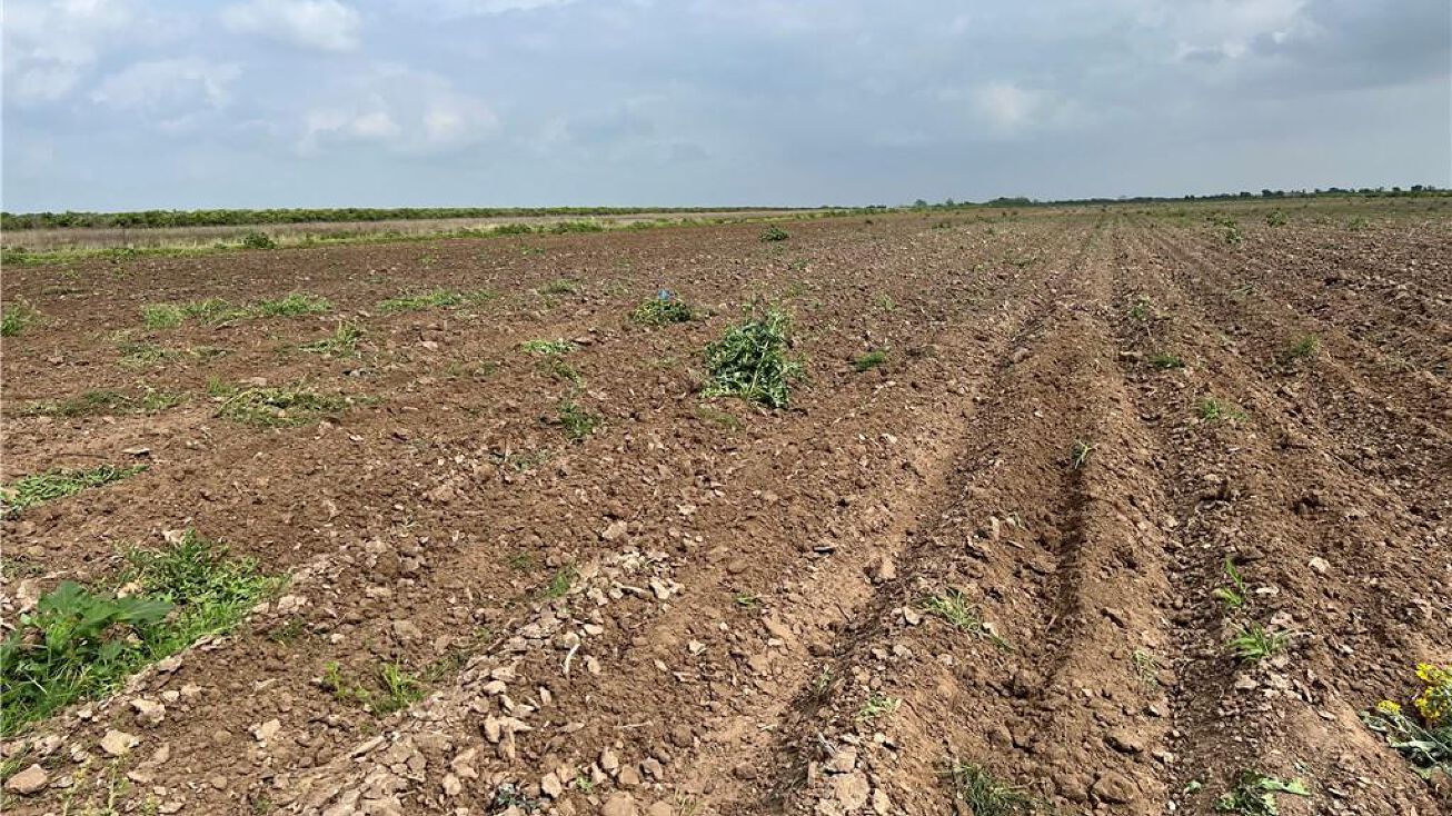 TBD N Coolidge Road, Hargill, TX 78549