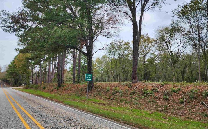 LOT 3 - TBD NE CR 363 Winona, Winona, TX 75792 | Crexi.com