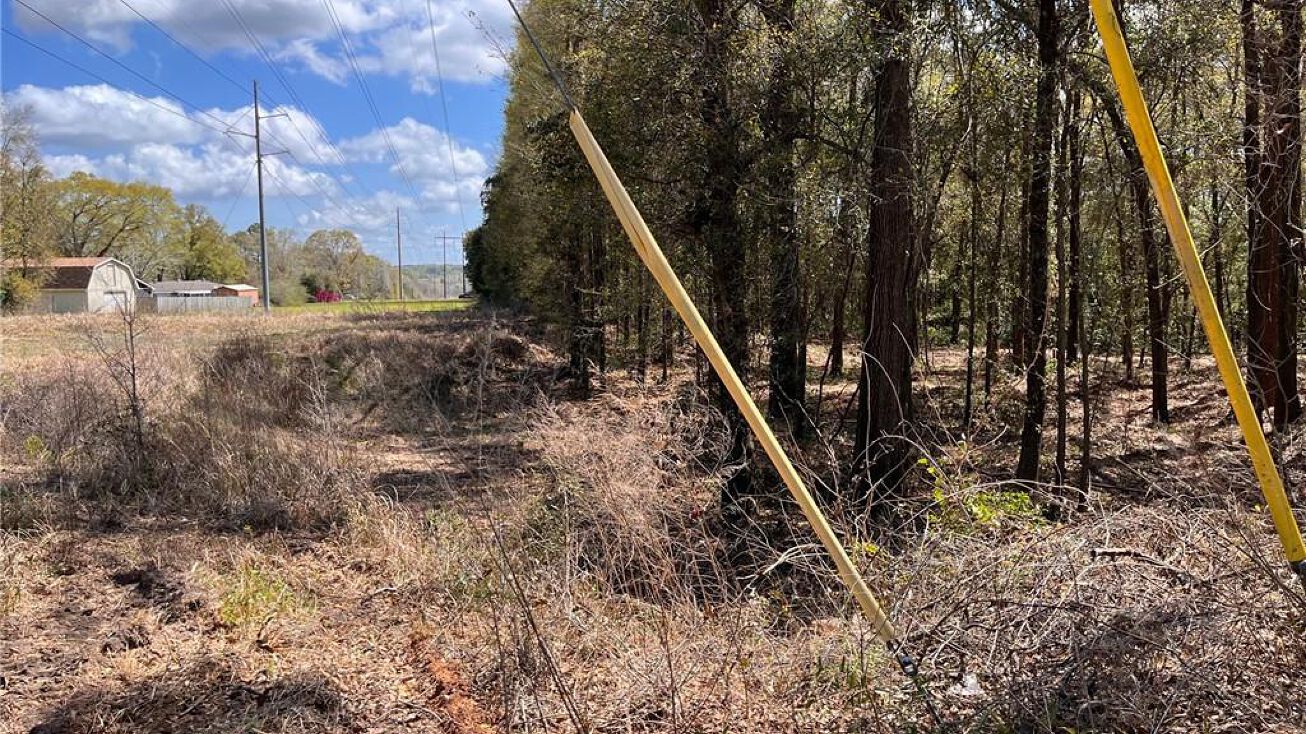 Pictures of Land property located at 6670 Moffett Rd, Mobile, AL 36618 for sales - image #1