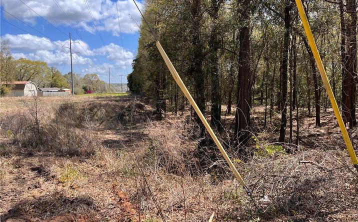Pictures of Land property located at 6670 Moffett Rd, Mobile, AL 36618 for sales - image #1