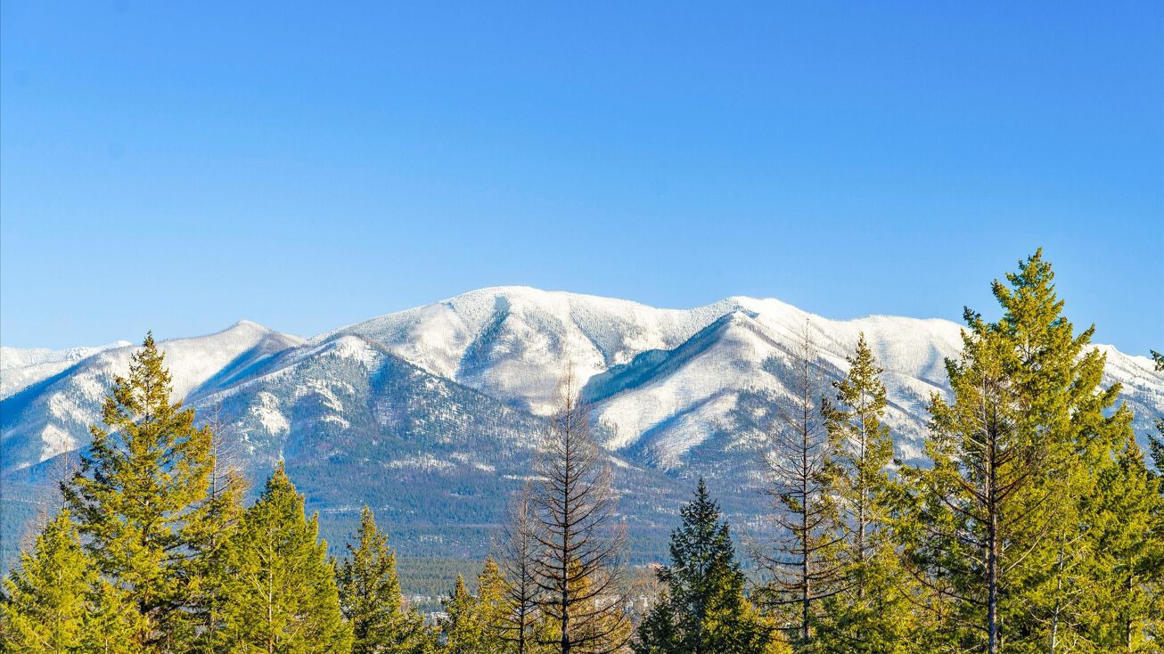 40 Acres Sasquatch Trail, Eureka, MT 59917