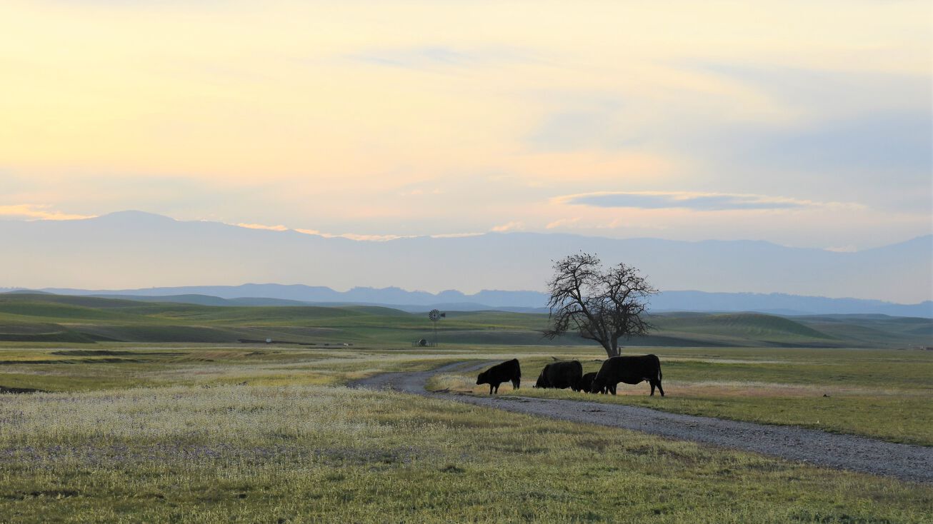 County Rd 33, Artois, CA 95913