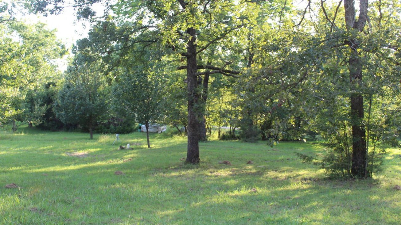 Lot 33 & 34 Pauline Avenue, Protem, MO 65733