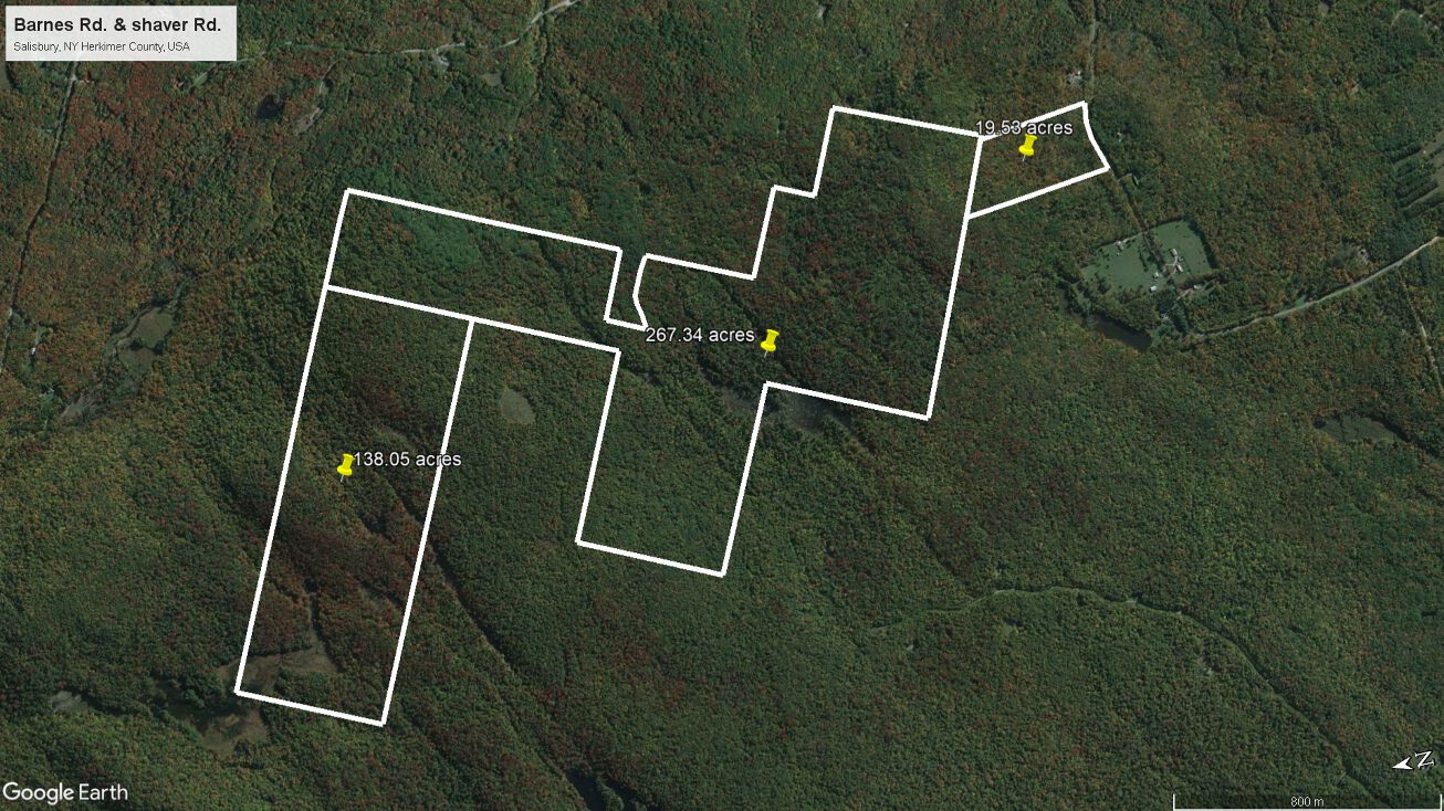 Shaver rd, Salisbury, NY 13365