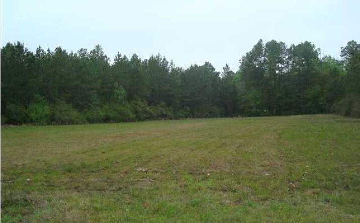 Pictures of Land property located at 5913 Hwy 231, Panama City, FL 32404 for sales - image #1