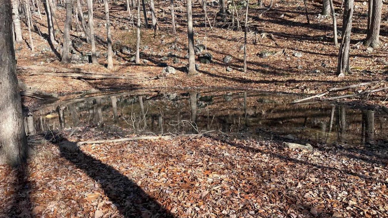 Tbd Brocks Gap Rd, Fulks Run, VA 22830