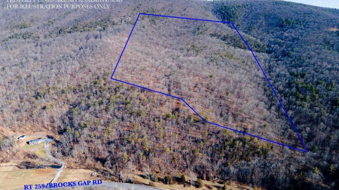 0 Brocks Gap Road, Fulks Run, VA 22830