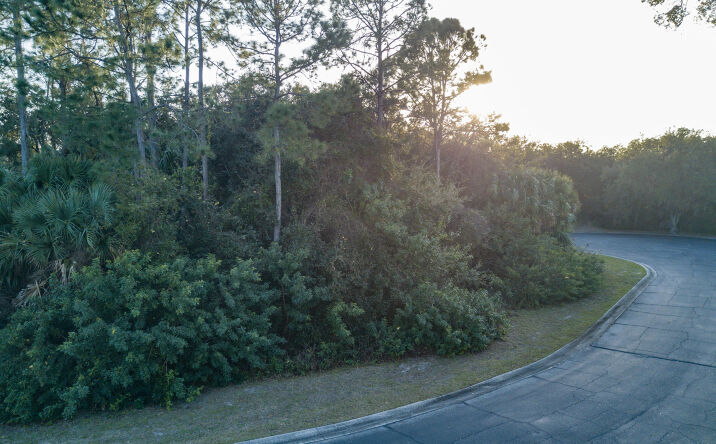 Pictures of Land property located at 2671 Sussana Lane, Titusville, FL 32780 for sales - image #1